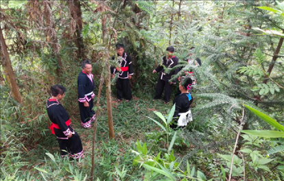 “瑤老”人民調(diào)解員翻山越嶺開展現(xiàn)場(chǎng)調(diào)解。