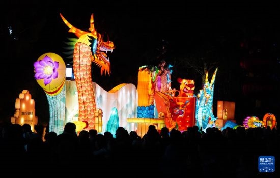 2月11日晚，人們在濟南市趵突泉公園觀賞花燈。