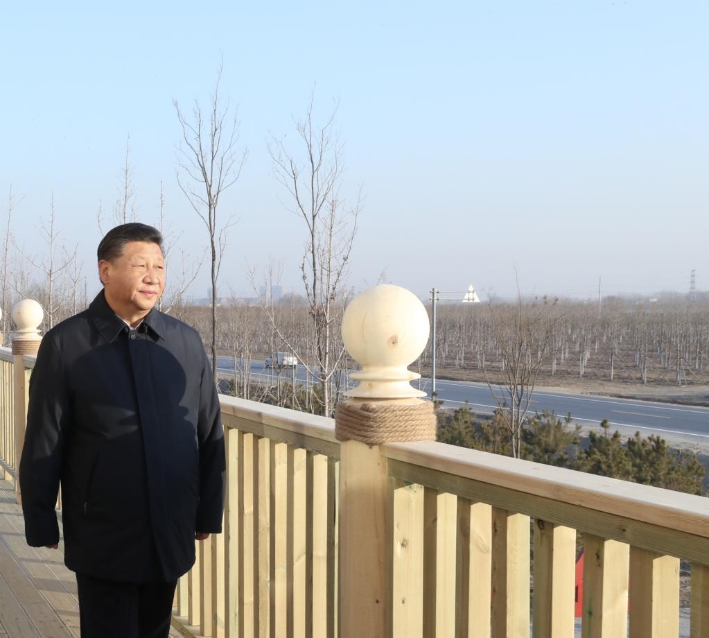 2019年1月16日，在河北雄安新區(qū)“千年秀林”大清河片林一區(qū)造林區(qū)域，習近平總書記登上秀林驛站二層平臺遠眺林區(qū)全貌。新華社記者 鞠鵬 攝