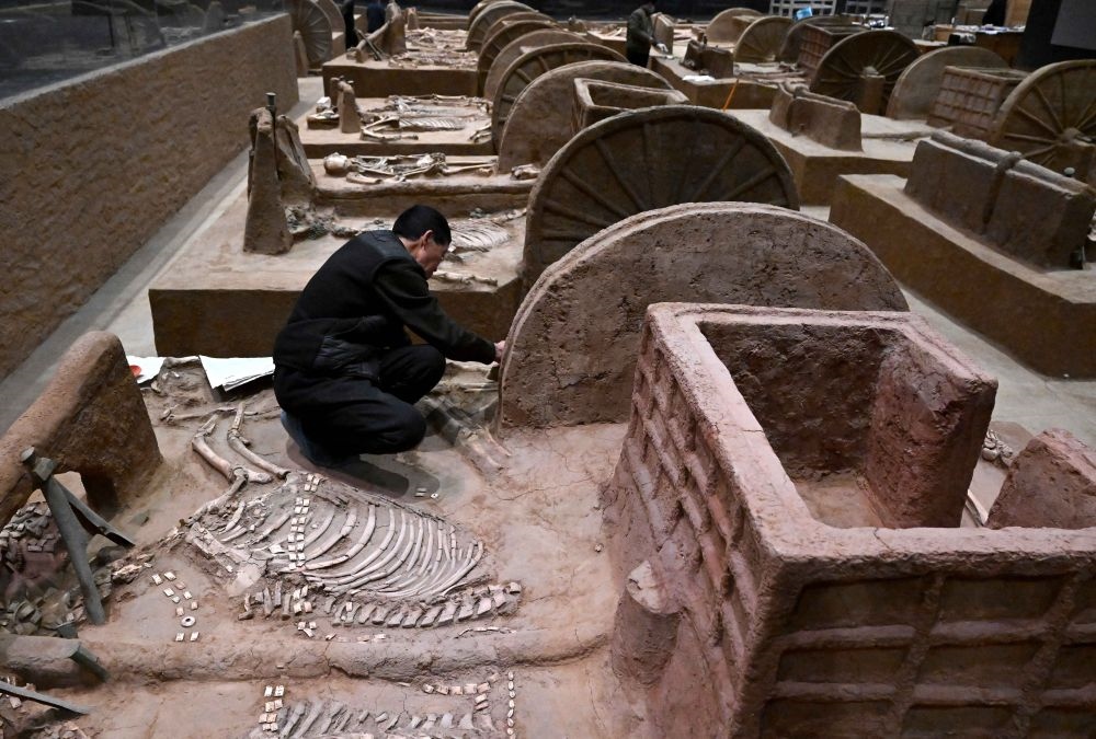 工作人員在殷墟博物館新館的展廳內(nèi)修復(fù)車馬遺跡（2月23日攝）。