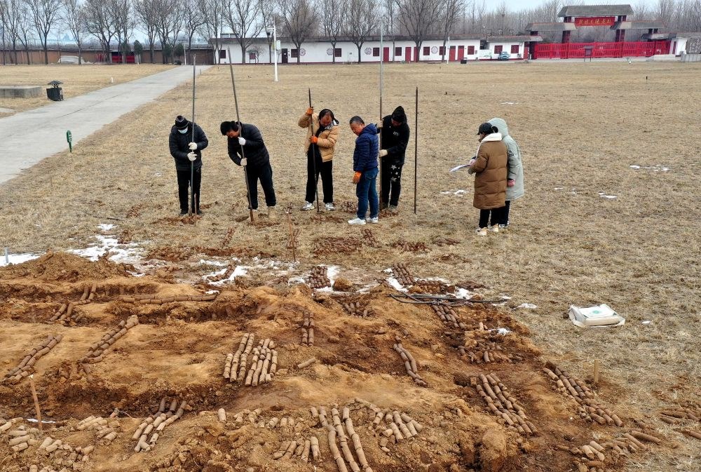 在殷墟王陵遺址，工作人員在勘探圍溝范圍（2月24日攝）。