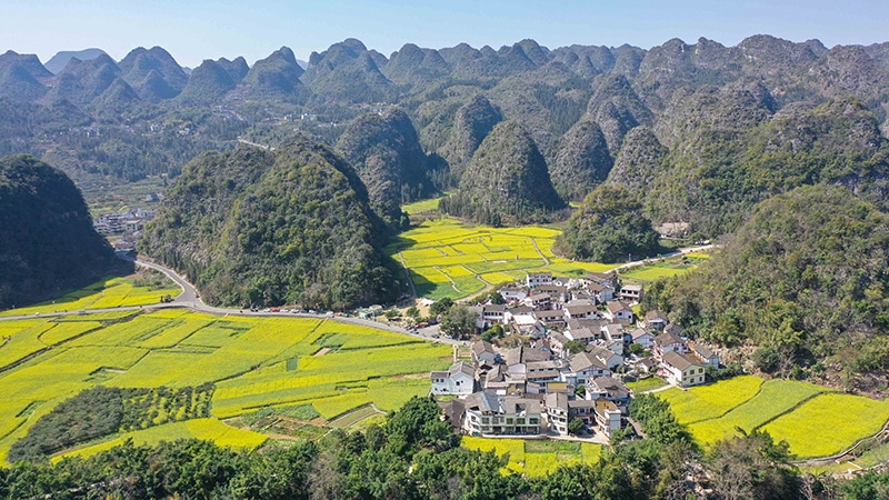 2024年2月17日，貴州省興義市萬峰林景區(qū)的油菜花海景色（無人機(jī)照片）。