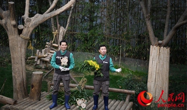 熊貓飼養(yǎng)員姜哲遠(yuǎn)和宋永寬向媒體介紹為“福寶”準(zhǔn)備的送別禮物。人民網(wǎng) 李帆攝