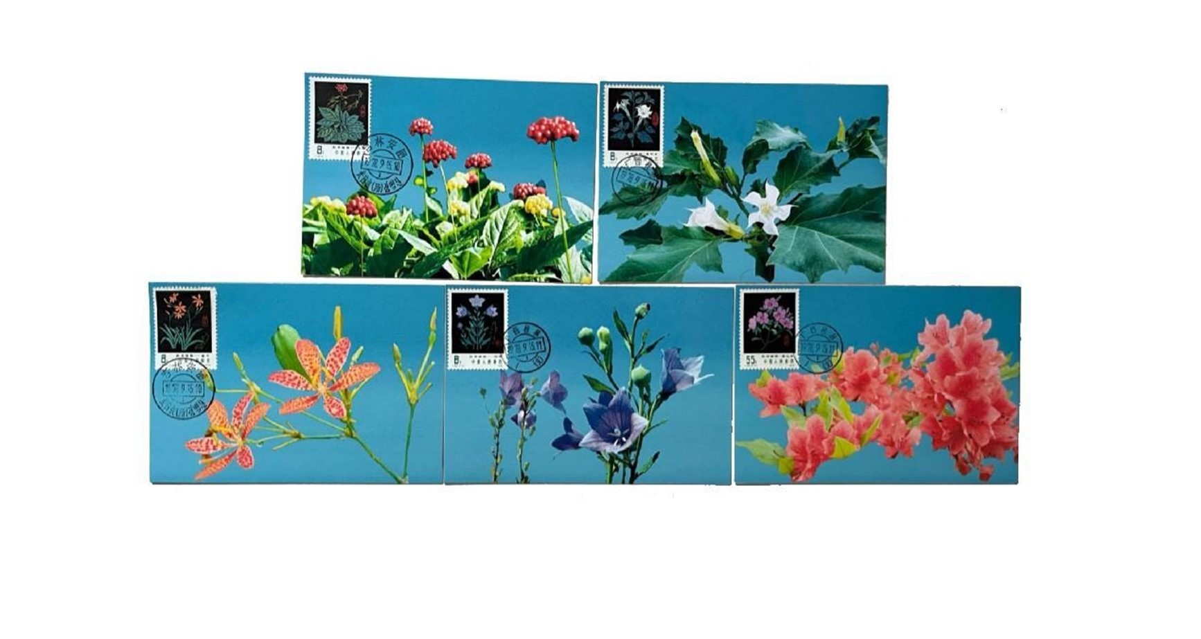 首套藥用植物極限片。第七屆阿聯(lián)酋集郵展主辦方供圖
