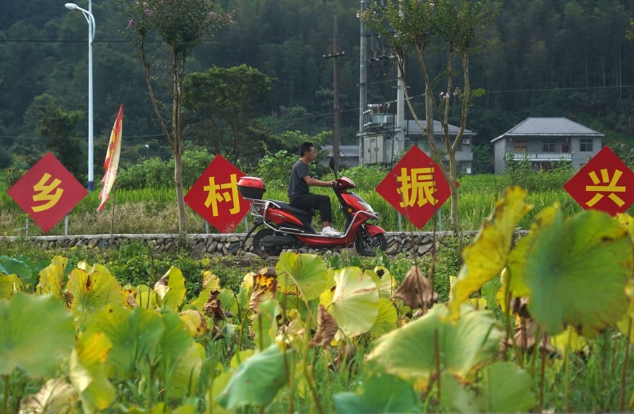 2023年8月24日拍攝的江西省靖安縣璪都鎮(zhèn)港背村一景。該村在當(dāng)?shù)卣С窒?，修古建，建民宿，搞開(kāi)發(fā)，引進(jìn)竹筏漂流、觀光采摘、農(nóng)耕體驗(yàn)、森林研學(xué)等多種旅游業(yè)態(tài)，建成新田園生態(tài)度假小鎮(zhèn)，發(fā)展鄉(xiāng)村旅游，走上致富路。