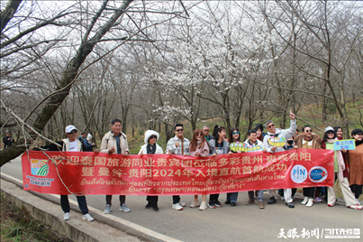 首個(gè)泰國入境旅游團(tuán)打卡貴安櫻花園。