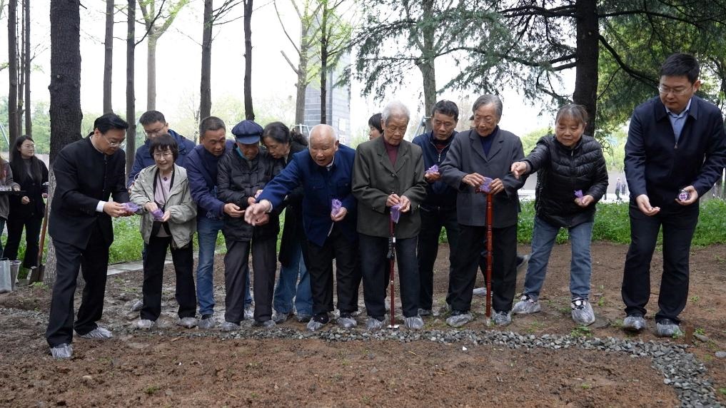 南京大屠殺幸存者代表、死難者遺屬代表等在紀(jì)念館的和平公園里，播撒下紫金草的種子。新華社記者林凱 攝