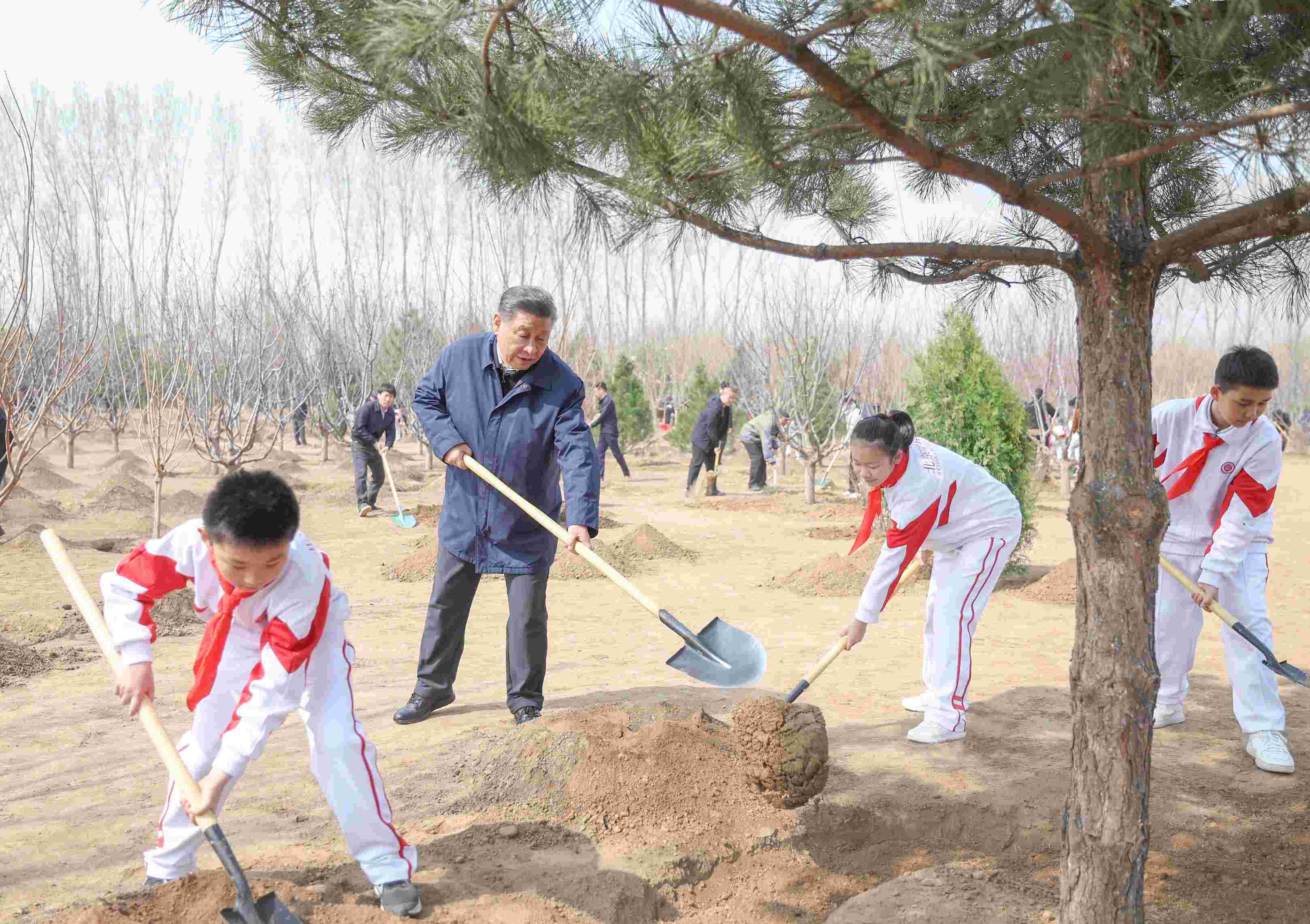 2024年4月3日，習(xí)近平總書記來到北京市通州區(qū)潞城鎮(zhèn)參加首都義務(wù)植樹活動。