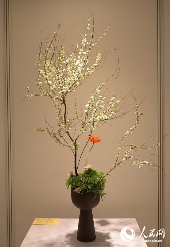 插花作品。人民網(wǎng) 玄番登史江攝