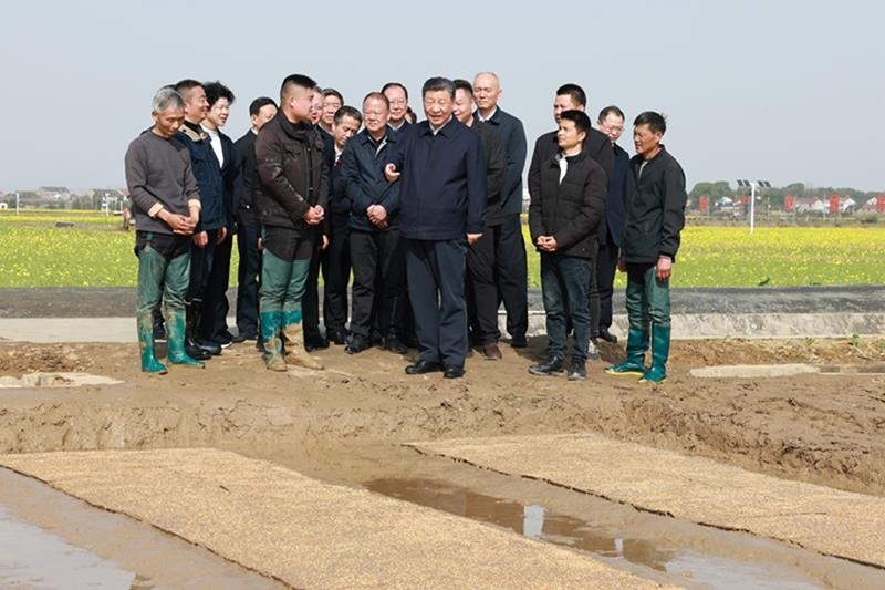 △2024年3月19日，在湖南常德市鼎城區(qū)謝家鋪鎮(zhèn)港中坪村，習(xí)近平總書(shū)記走進(jìn)田間，察看秧苗培育和春耕備耕進(jìn)展。