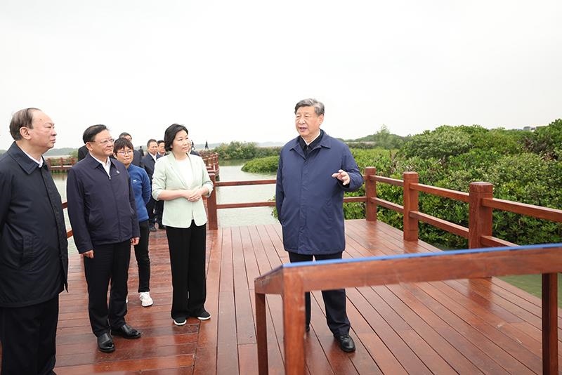 △2023年4月10日，習近平總書記在廣東湛江市麻章區(qū)湖光鎮(zhèn)金牛島紅樹林片區(qū)考察。