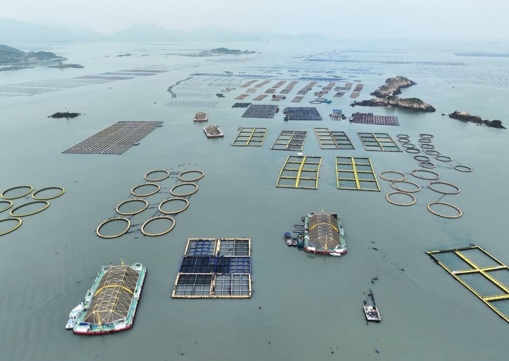 在福建連江定海灣海域，坐落著“定海灣1號”“定海灣2號”等深遠(yuǎn)海養(yǎng)殖平臺(tái)（2024年5月7日攝，無人機(jī)照片）。新華社記者 林善傳 攝