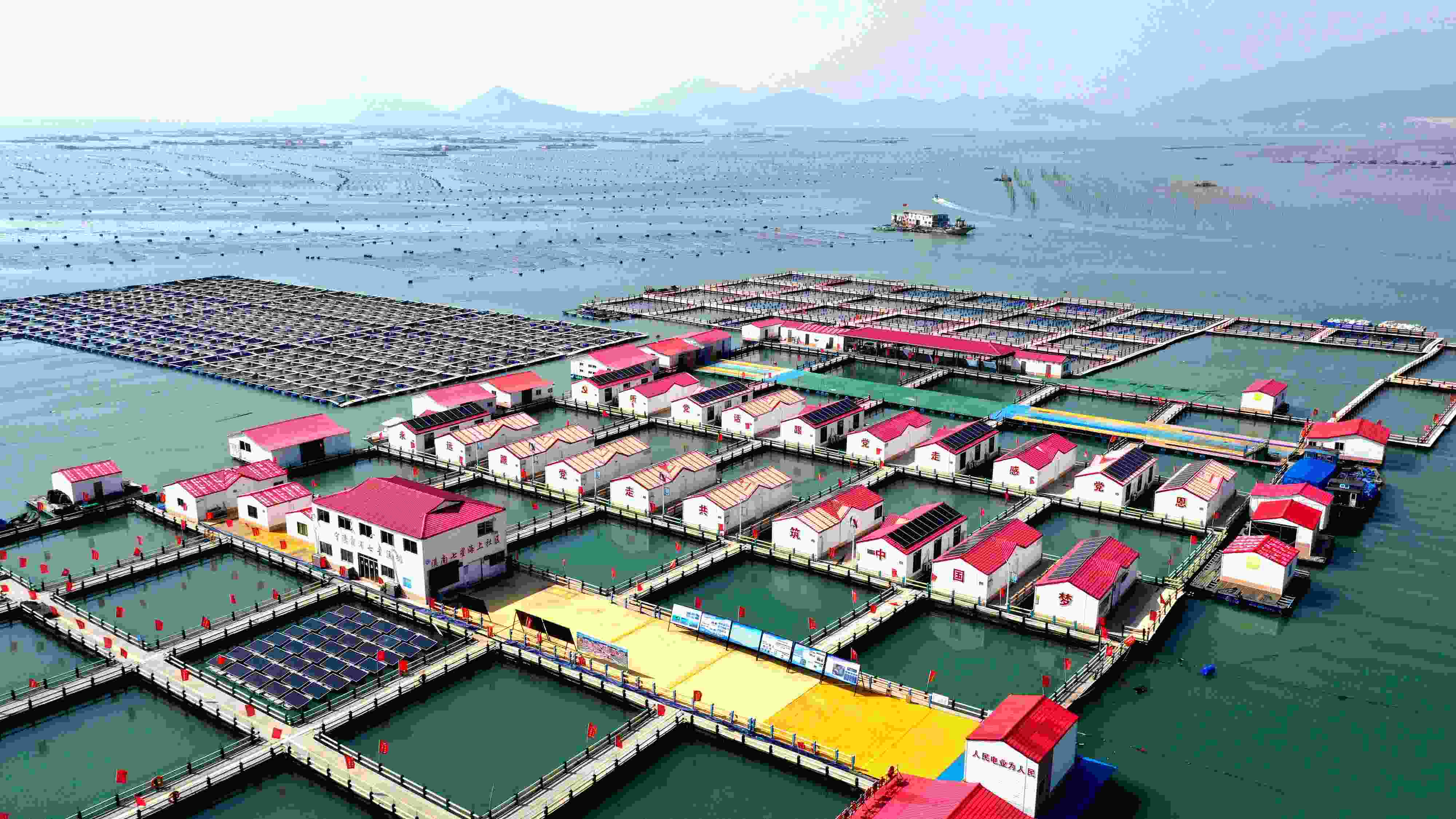 2024年3月20日，福建省寧德市，霞浦縣溪南鎮(zhèn)七星村漁排養(yǎng)殖示范區(qū)，漁民駕駛養(yǎng)殖船進行海參養(yǎng)殖作業(yè)。
