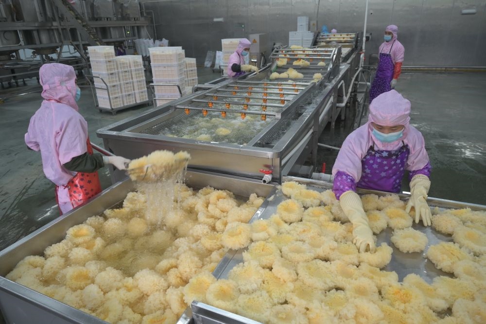 2024年5月10日，在福建省寧德市古田縣，一家食品公司的工作人員在挑選清洗銀耳。新華社記者 林善傳 攝