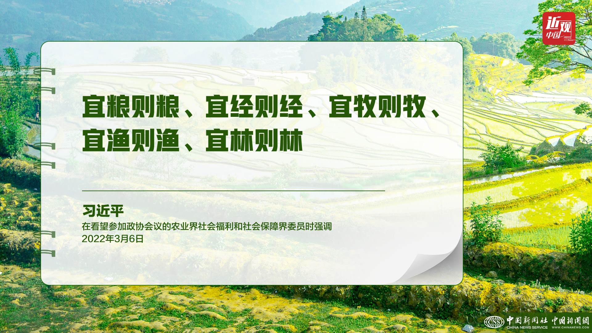 習(xí)近平：樹(shù)立大食物觀，構(gòu)建多元化食物供給體系