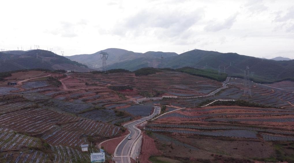 火普村的藍莓基地一角（無人機照片）。新華社記者 尹恒 攝