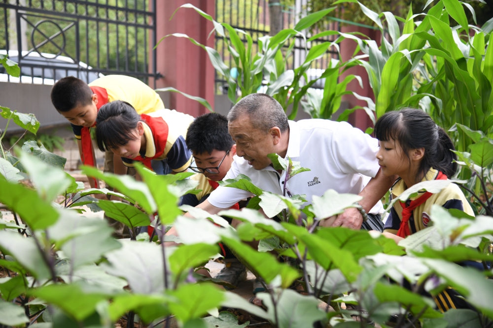 5月31日，老師帶領(lǐng)學(xué)生在之江小學(xué)勞動(dòng)實(shí)踐基地學(xué)習(xí)蔬菜知識(shí)。新華社記者 胥冰潔 攝