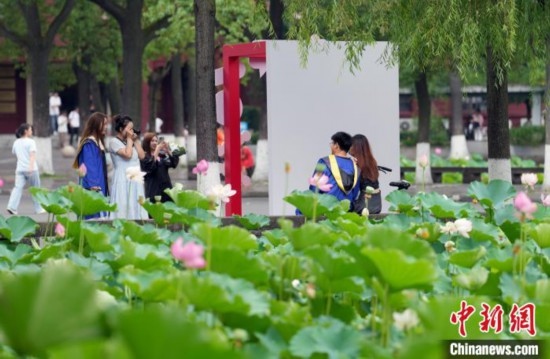 6月19日，時值一年畢業(yè)季，四川大學(xué)望江校區(qū)荷花池里的荷花盛開，成為了畢業(yè)生們的打卡圣地，吸引了眾多畢業(yè)生拍照留念。圖為畢業(yè)生在荷花池邊拍照留念。中新社記者 安源 攝