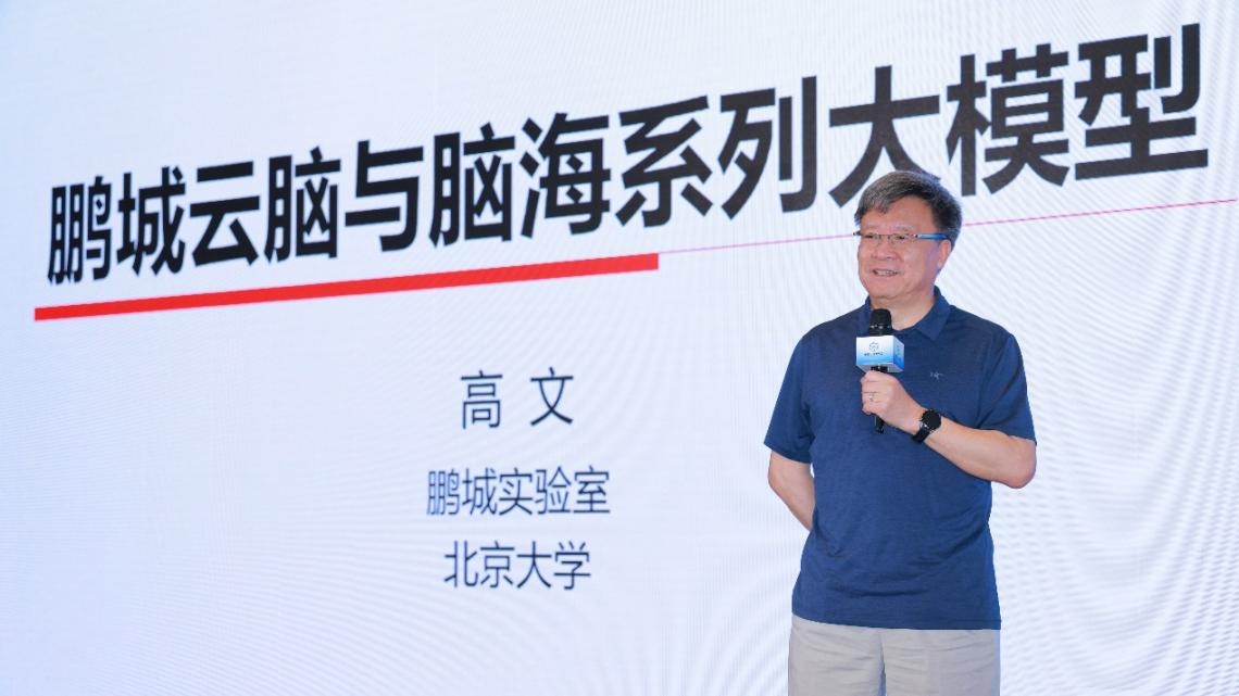 高文院士做大會特邀報(bào)告。主辦方供圖