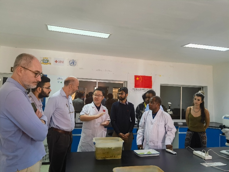 活動(dòng)現(xiàn)場。專家組供圖