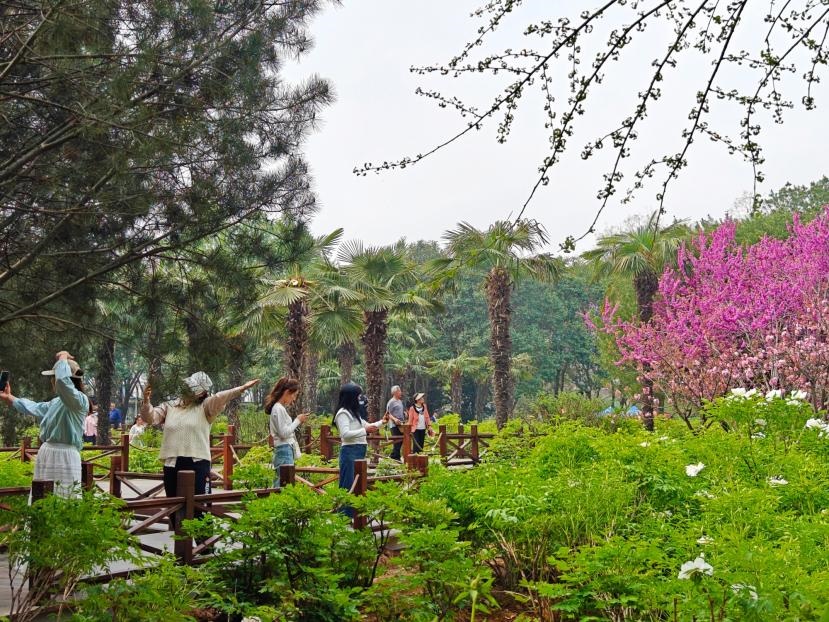 在河南省洛陽(yáng)市中國(guó)國(guó)花園，游客漫步花海、自拍留念。人民網(wǎng) 王雅蝶攝