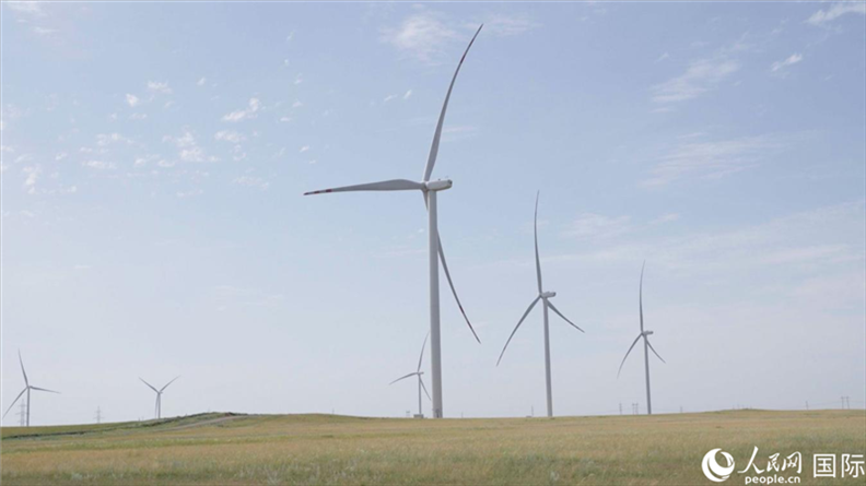 阿克莫拉州風電項目群風機。 人民網記者 葛泰佚攝