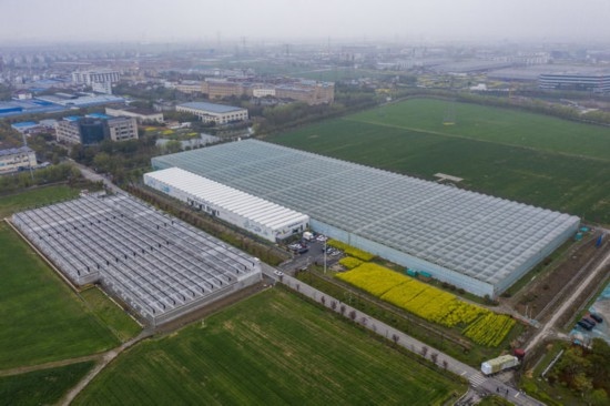 2024年3月28日，空中俯瞰嘉興南湖區(qū)湘家蕩農(nóng)業(yè)數(shù)字化工廠（無人機(jī)照片）。該農(nóng)業(yè)數(shù)字化工廠占地總面積約62畝，包含智慧農(nóng)業(yè)生產(chǎn)、物聯(lián)網(wǎng)智能管理、自動(dòng)分揀包裝、保鮮儲(chǔ)藏物流、高科技示范展示等五大功能區(qū)，可直接或間接培養(yǎng)帶動(dòng)新型職業(yè)技術(shù)農(nóng)民500人以上。新華社記者 徐昱 攝