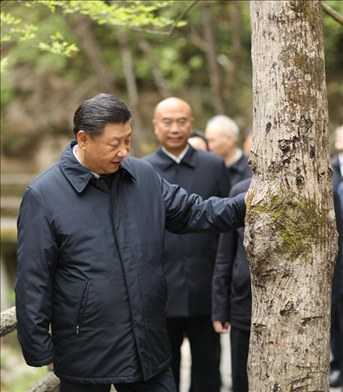 2020年4月，習(xí)近平總書記來到位于商洛市柞水縣的秦嶺牛背梁國家級(jí)自然保護(hù)區(qū)，考察秦嶺生態(tài)保護(hù)情況。新華社記者 鞠鵬 攝