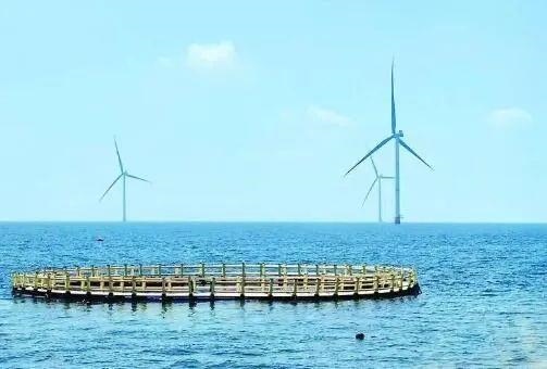 △山東萊州風電項目實現(xiàn)了海上風電和海洋牧場融合發(fā)展。