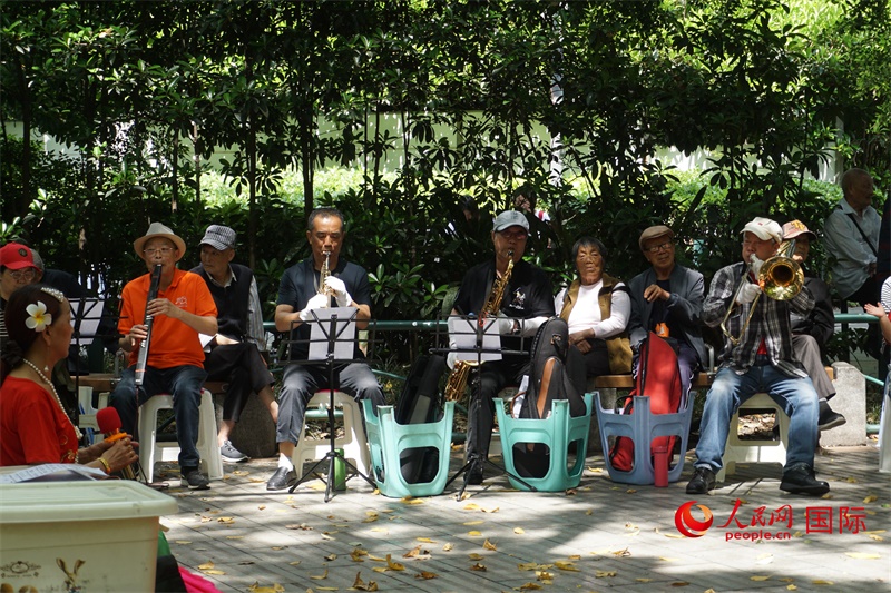 成都居民在公園里演奏歌曲。人民網(wǎng) 王禹蘅攝