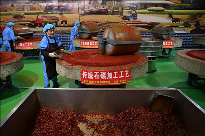 工人用電動(dòng)石碾加工辣椒面。新華社記者 范培珅 攝