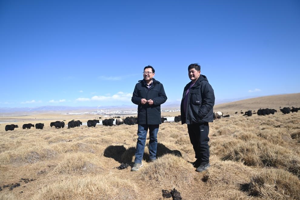2023年2月24日，在青海省海北藏族自治州海晏縣青海湖鄉(xiāng)達(dá)玉日秀村，全國人大代表董全民（左）查看牧民東知布家的草場。新華社記者 張龍 攝