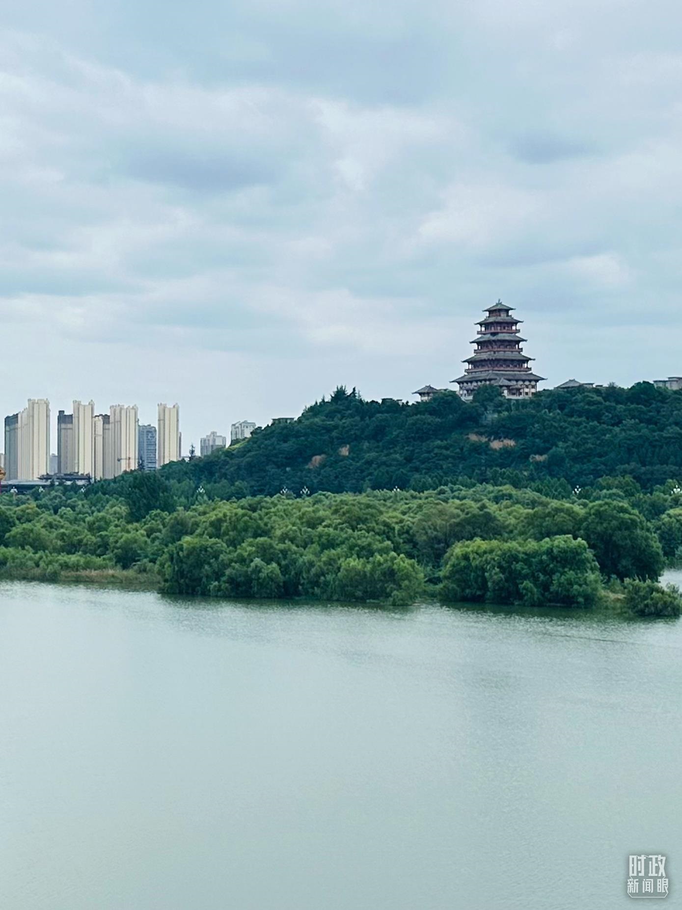 △渭河寶雞段長(zhǎng)224公里，目前建成17處渭河灘區(qū)生態(tài)涵養(yǎng)區(qū)。（總臺(tái)央視記者范一鳴拍攝）