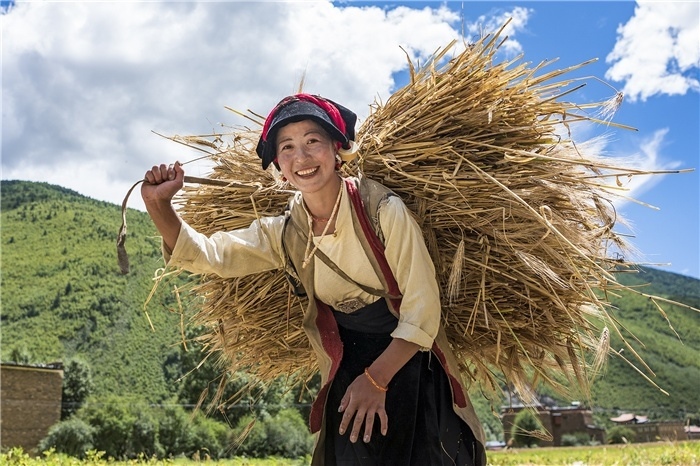 康定市甲根壩鎮(zhèn)青稞豐收，農(nóng)牧民臉上洋溢著豐收的喜悅。林革文攝