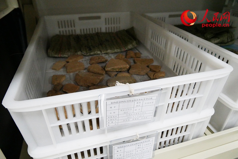 已經整理完畢的文物標本。人民網記者 韋衍行攝