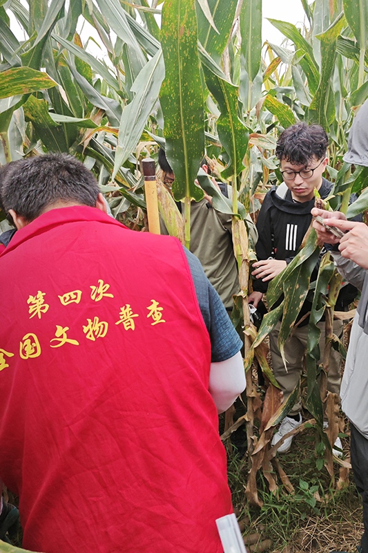 普查隊員正在使用探鏟進行探測。中國文物報供圖