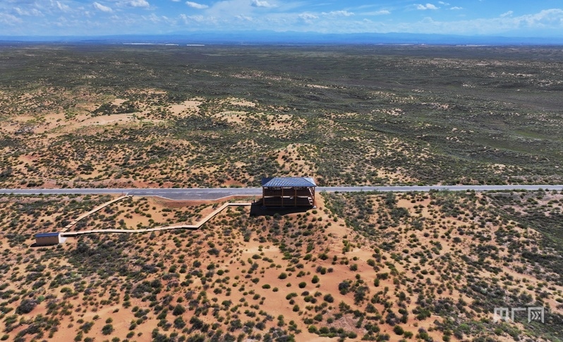 古浪縣一代代人治沙不息,讓綠色向沙漠深處不斷延伸(央廣網記者 李紅軍 攝)