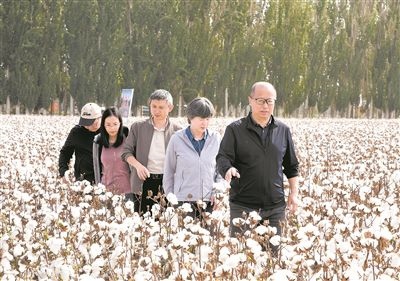 李召虎團隊成員在棉田了解試驗情況。 受訪單位供圖