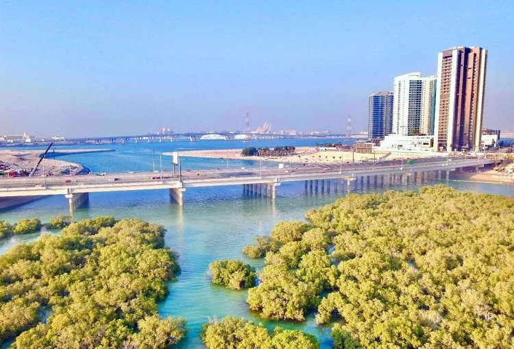 圖為瑞姆橋施工現(xiàn)場。中國土木供圖