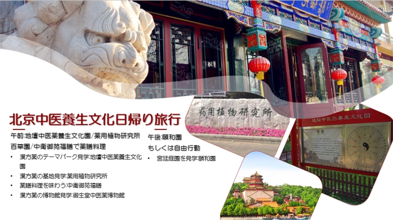 “你好！中國·休閑旅游—中國旅游說明會”宣講材料。中國駐東京旅游辦事處供圖
