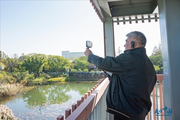 參觀白鷺園。環(huán)球網(wǎng)供圖