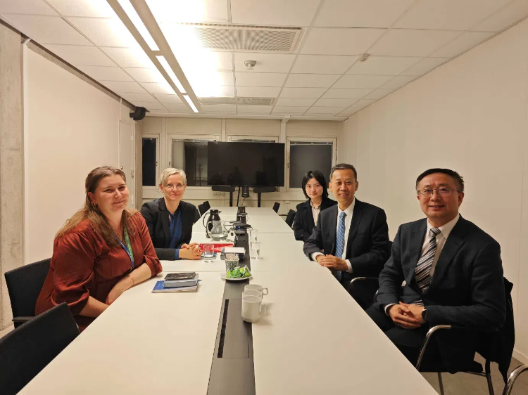 中國駐瑞典大使崔愛民會見瑞典聯(lián)合國教科文組織全國委員會秘書長。中國駐瑞典大使館供圖