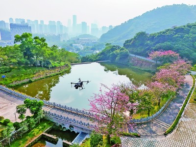 無(wú)人機(jī)在深圳塘朗山郊野公園里巡檢。新華社發(fā)