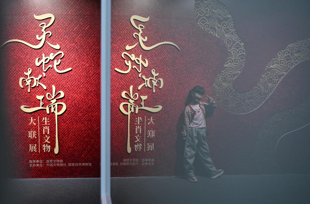 1月18日，一名小朋友在國家自然博物館舉辦的“靈蛇獻瑞——2025乙巳蛇年生肖文物大聯(lián)展”展覽中拍照留念。（新華社記者 陳鐘昊 攝）