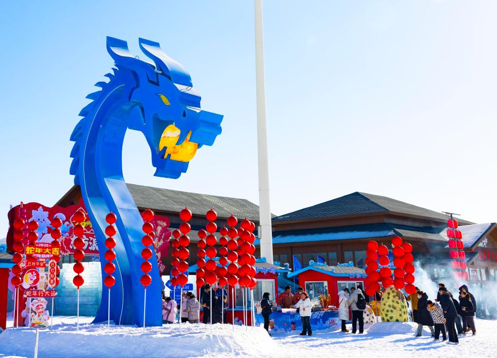 2025年1月，游客在遼寧錦州東方華地城海洋冰雪王國內(nèi)游覽。新華社發(fā)
