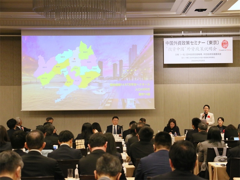 地方代表進行專題投資推介。人民網(wǎng) 許可攝