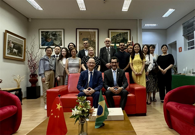 圖為參加座談會(huì)的來賓合影留念。 圣保羅州立大學(xué)孔子學(xué)院供圖