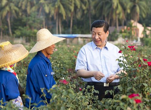 △2013年4月9日，習(xí)近平總書記在海南亞龍灣蘭德玫瑰風(fēng)情產(chǎn)業(yè)園向花農(nóng)了解玫瑰種植管理技術(shù)。
