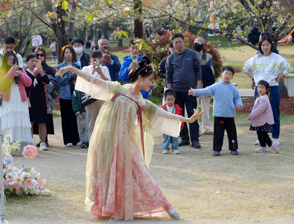清明假期期間，上海顧村公園櫻花島上，游客在觀賞國風(fēng)漢服快閃表演。（圖片來源：視覺中國）