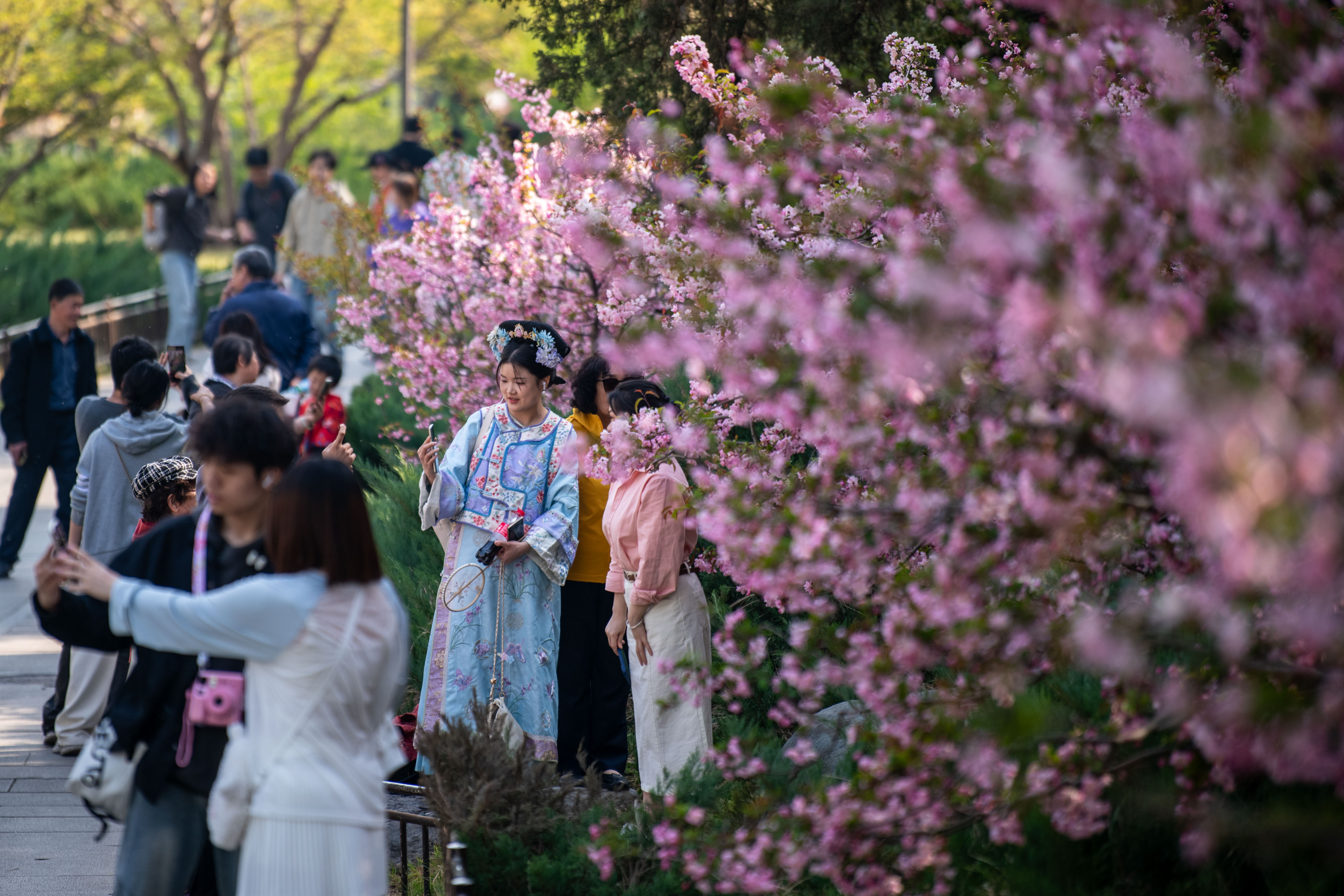 2025年4月6日，北京北海公園，滿園春色醉游人。人民網(wǎng)記者 翁奇羽攝
